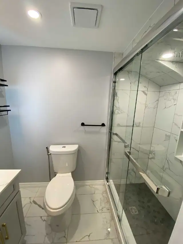 Professional Basement Renovations531194419536865285