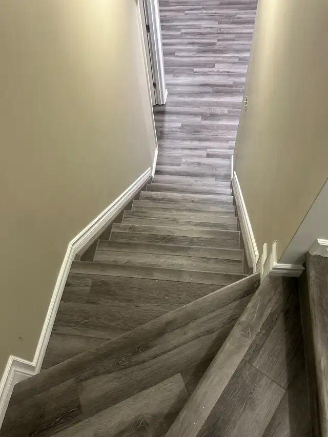 Basement Developement Expert.64551239068033123