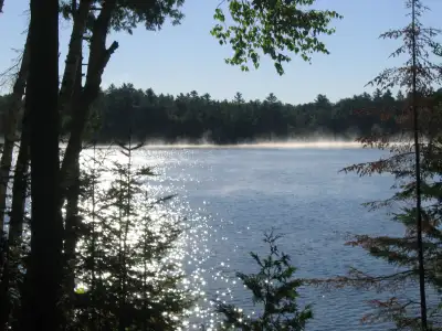 Lakefront family cottage rental - Limerick Lake, $1,250.