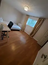 Amazing room available for rent in White Oaks, London