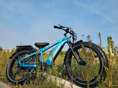 Velo electrique usage a vendre sherbrooke new arrivals