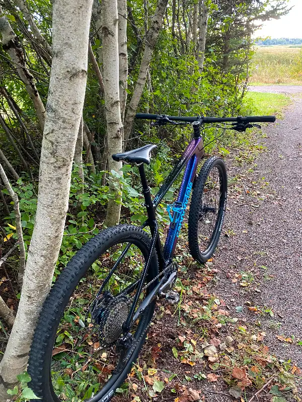 Cannondale Scalpel HT 2 in Mountain in Moncton - Image 3