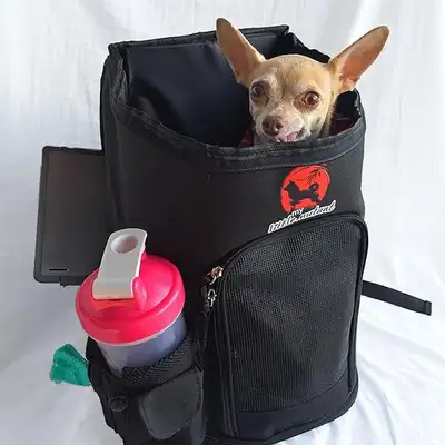 Dog Carrier Backpack for Small Dogs and Cats Downtown Pick Up!, View more