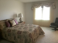 Bedspread, two shams, three small pillows, curtains and valence