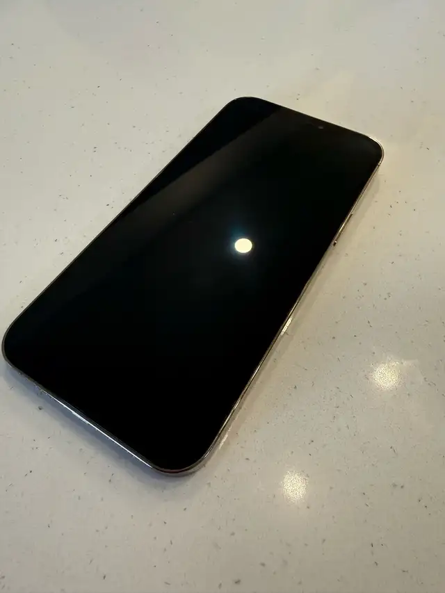 iPhone 12 Pro Max 250 GB, Gold  - Unlocked in Cell Phones in Ottawa - Image 3