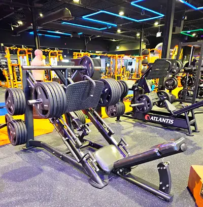 $500 of BRAND NEW ofit.ca COMMERCIAL Grade Leg Press, View more