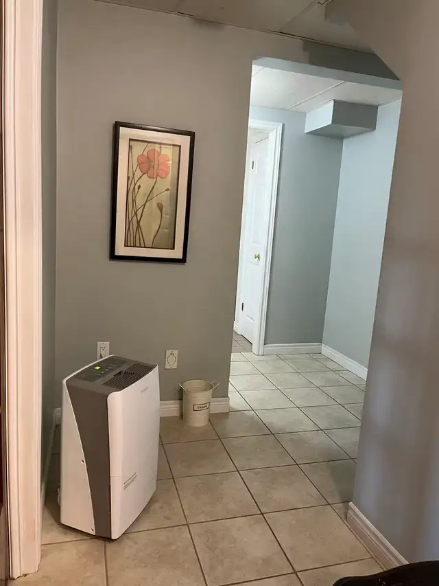 2 bedroom basement for long term renting in Long Term Rentals in Charlottetown - Image 4