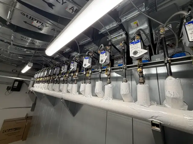 Plumber Licensed 65561299449859124