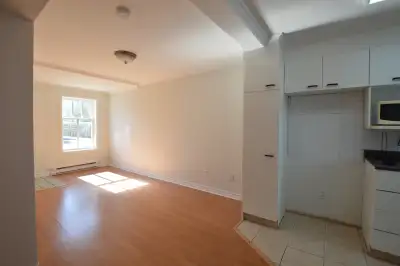 Appartement 3 1/2 à louer. Beau petit appartement. Secteur vieux Terrebonne. Près du centre-ville, r...