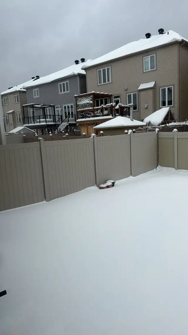 Backyard Fencing65729285003009120