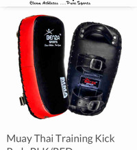 Muay Thai Training Kick Pad