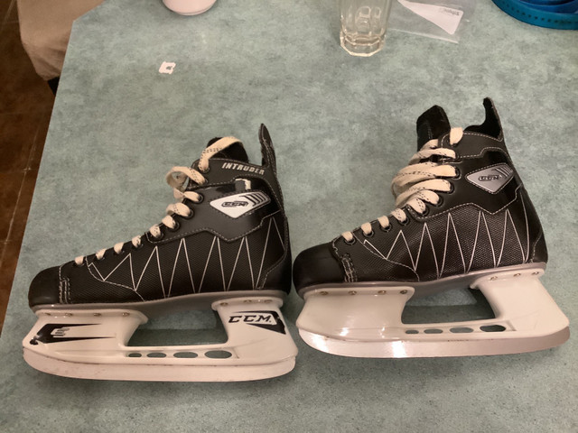 CCM Intruder skates size 7 in Skates & Blades in Ottawa