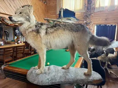 Located in Lawrencetown just past the beach. Call 902-497-7550