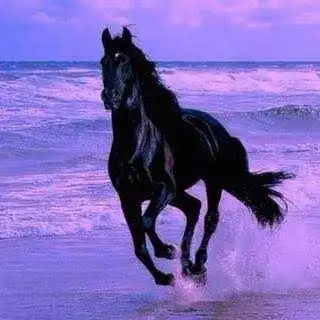 Je suis à la recherche d'un terrain dans la région de Lanaudière qui offre un accès à un cours d'eau...