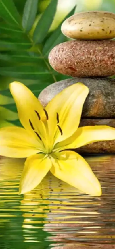 Massage thérapeutique suedois californien ou musculaire 2 places pour vous accueillir: Greenfield pa...