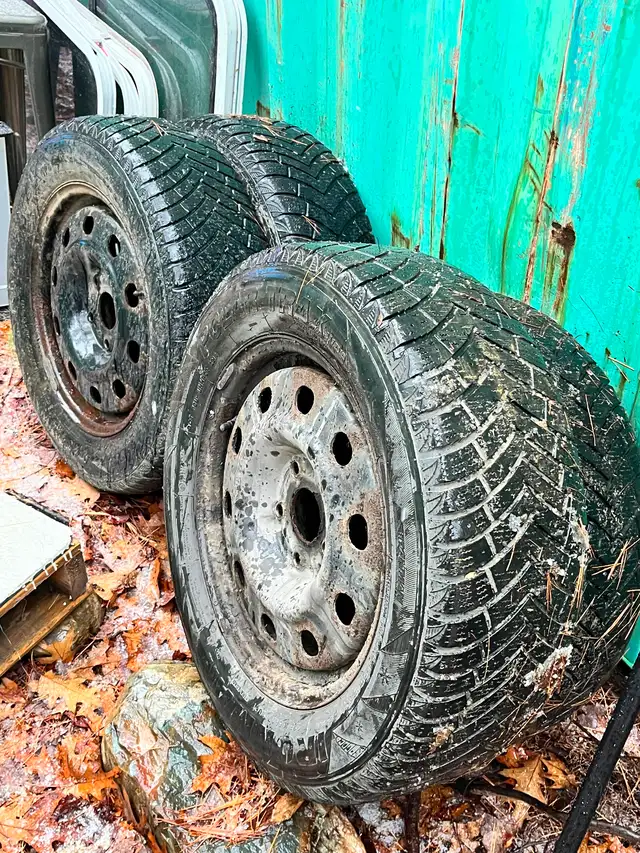 Winter tires rims and sensors in Tires & Rims in Bridgewater - Image 2