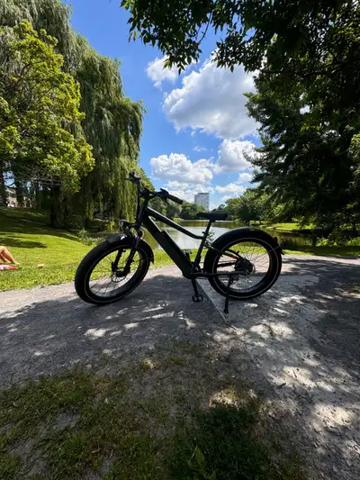 RadRover 6 Plus High-Step Electric Fat Tire Bike, View more