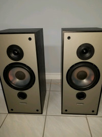 Mint paradigm speakers