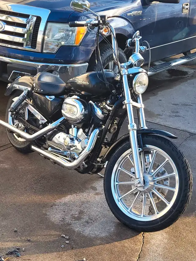 2006 Harley-Davidson sportster  low km in Street, Cruisers & Choppers in Saint John - Image 5