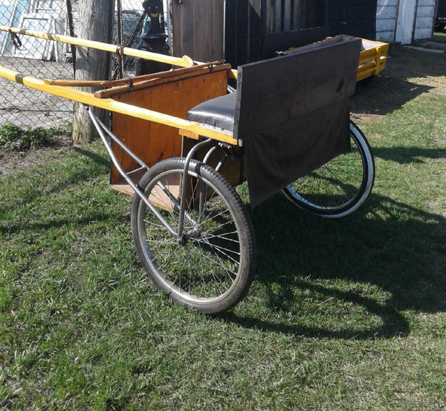 HORSE CART FOR SALE in Other in Belleville - Image 2