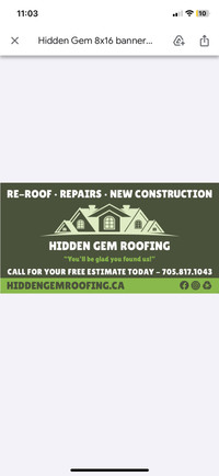 Roofing specialist 