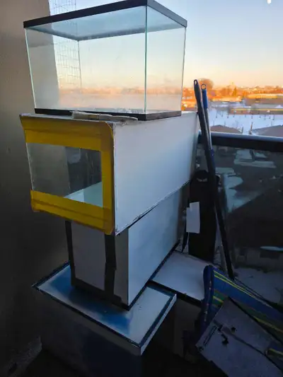 Selling my breeding tank aquarium. 30gal breeding tank- $50 20gal breeding tank-$30