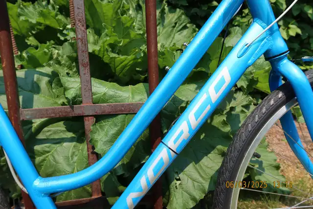 Ladies Norco Bike in Road in Edmonton - Image 6