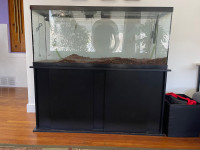  55 gallon wide fish tank with recirculating pump