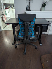 Sit To Stand Electric Standing Desk~BNIB~Free GTA Delivery