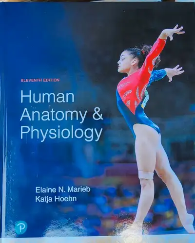 New! Human Anatomy & Physiology 11th Edition Textbook , View more
