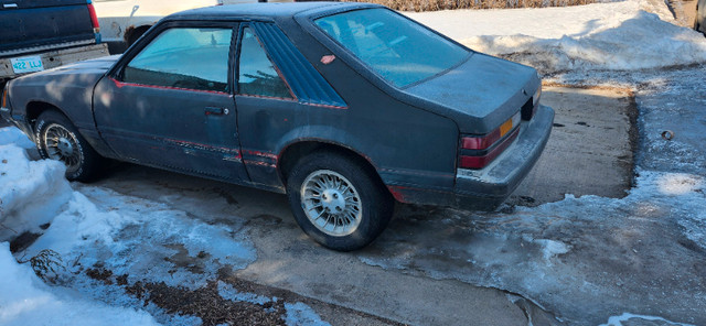 1986 Mustang LX Hatch 5.0 in Cars & Trucks in Saskatoon - Image 3