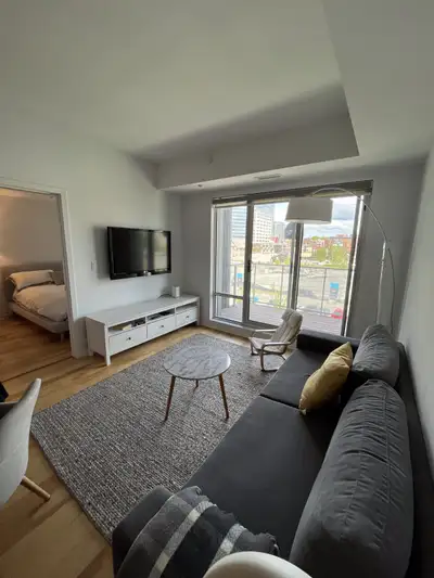 Large 1-bedroom fully furnished for rent