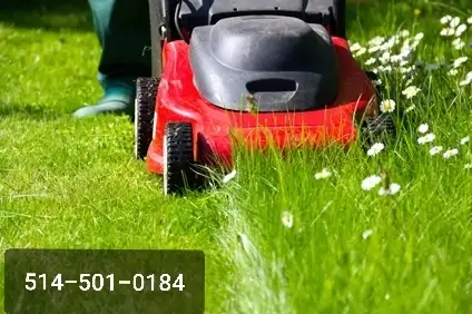 Coupe de gazon ⭐BAS PRIX⭐ in Lawnmowers & Leaf Blowers in City of Montréal - Image 3