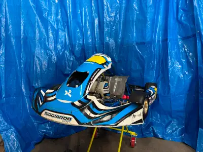 Hello everyone! I’m selling my Ricciardo Birel go-kart, equipped with a high-performance, tuned Brig...