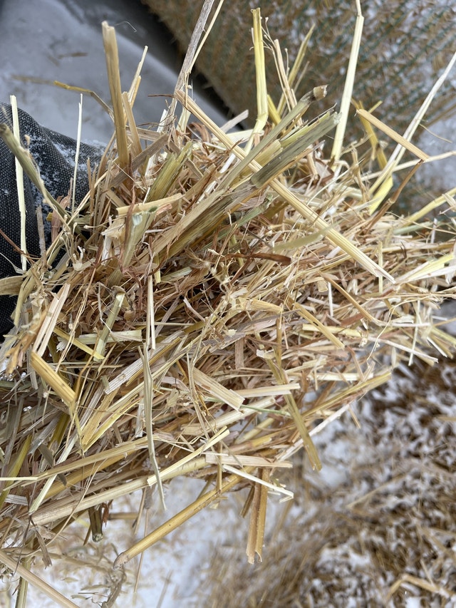 Oat Straw Edberg Farming Equipment Edmonton Kijiji