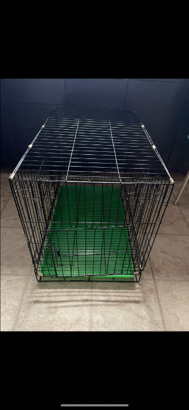 cage de chien a 2 portes dans Accessoires  à Longueuil/Rive Sud - Image 2