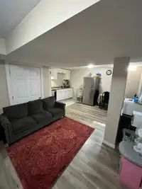 2 Bed, 1 Bath Spacious Basement Apartment in Mississauga