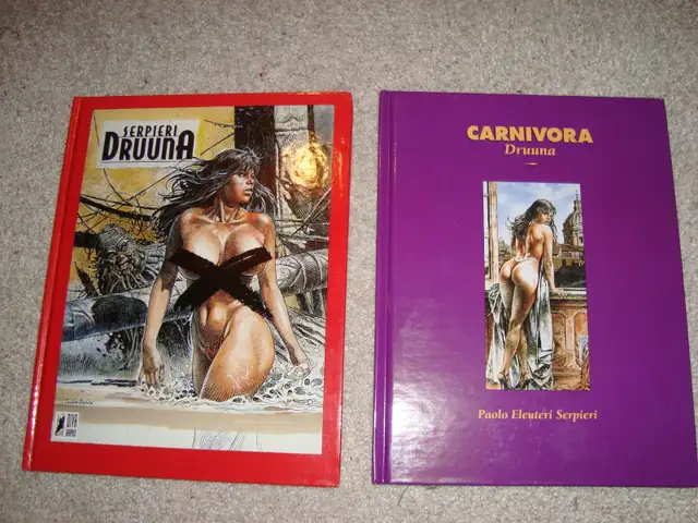 Druuna Erotic Comics in Comics & Graphic Novels in Kingston - Image 2