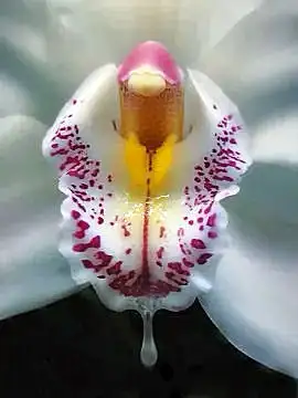 Feeling Knotty?, View more