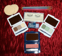 New Makeup From The Salon $4.00 For All