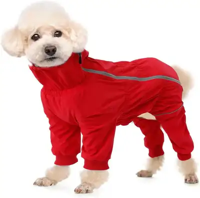 Small dog winter jacket, View more