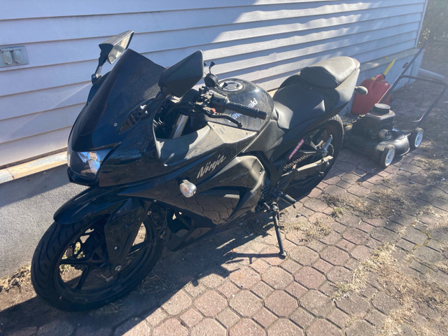 2009 KAWASKI NINJA 250r - PRICE NEGOTIABLE  in Sport Bikes in Ottawa - Image 2