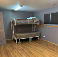 Larg Basement Room for Rent