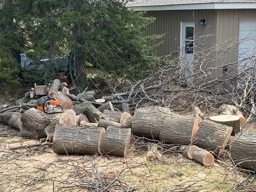 We are an extremely hard working & dedicated couple who are available 24/7 to clean up downed trees...