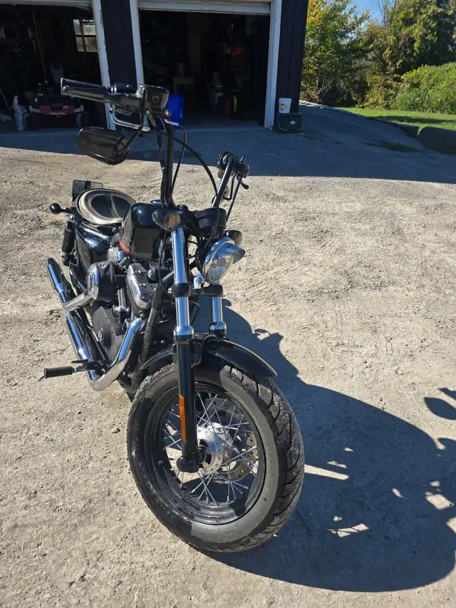 2010 harley davidson sporster 1200xl in Street, Cruisers & Choppers in Kawartha Lakes - Image 2