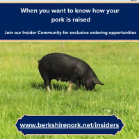 Pork from naturally raised pigs - no antibiotics or vacinations