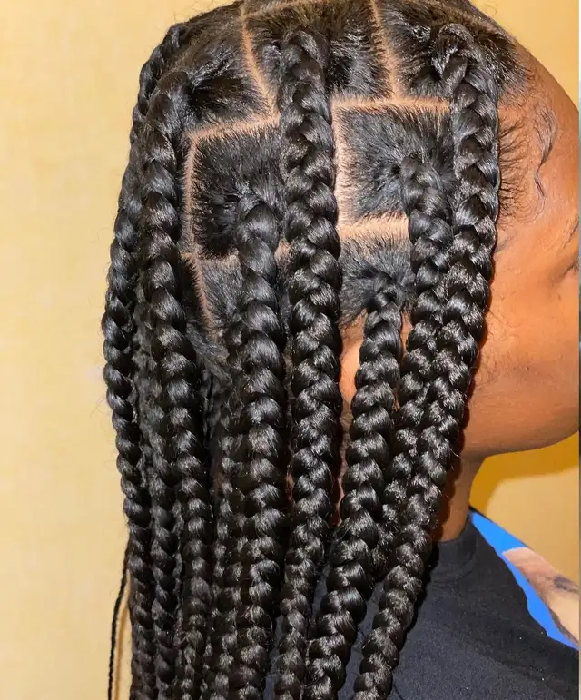 Braids and Locs602765533412730883