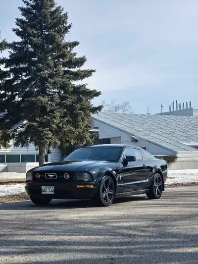 Freshly saftied v6 5spd manual. Comes with after market radio and 12in sub can come with factory rad...