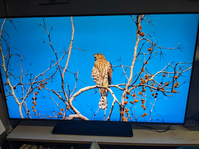 Smart TV LG 4K 55 pouces garantie 3 mois pièce et main d'oeuvre dans Téléviseurs  à Ville de Montréal - Image 2