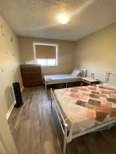 room for rent